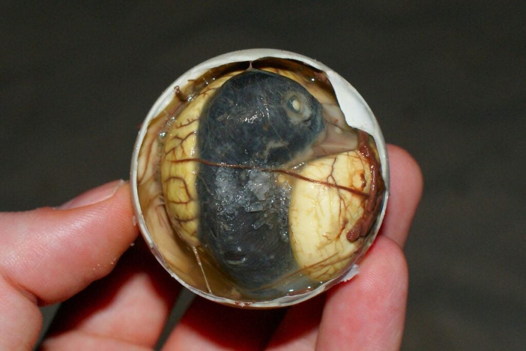 balut hong kong