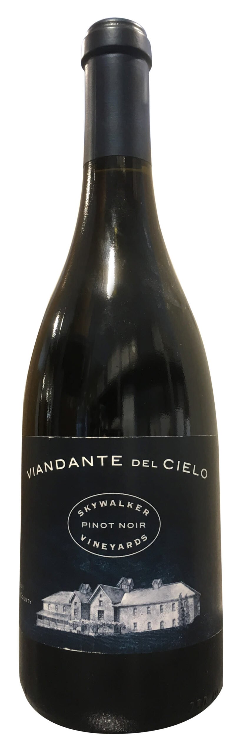 Skywalker Viandante Del Cielo Pinot Noir 2011 